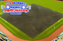 野球場用雨よけグラウンドシート(オーダーメイドシート)
