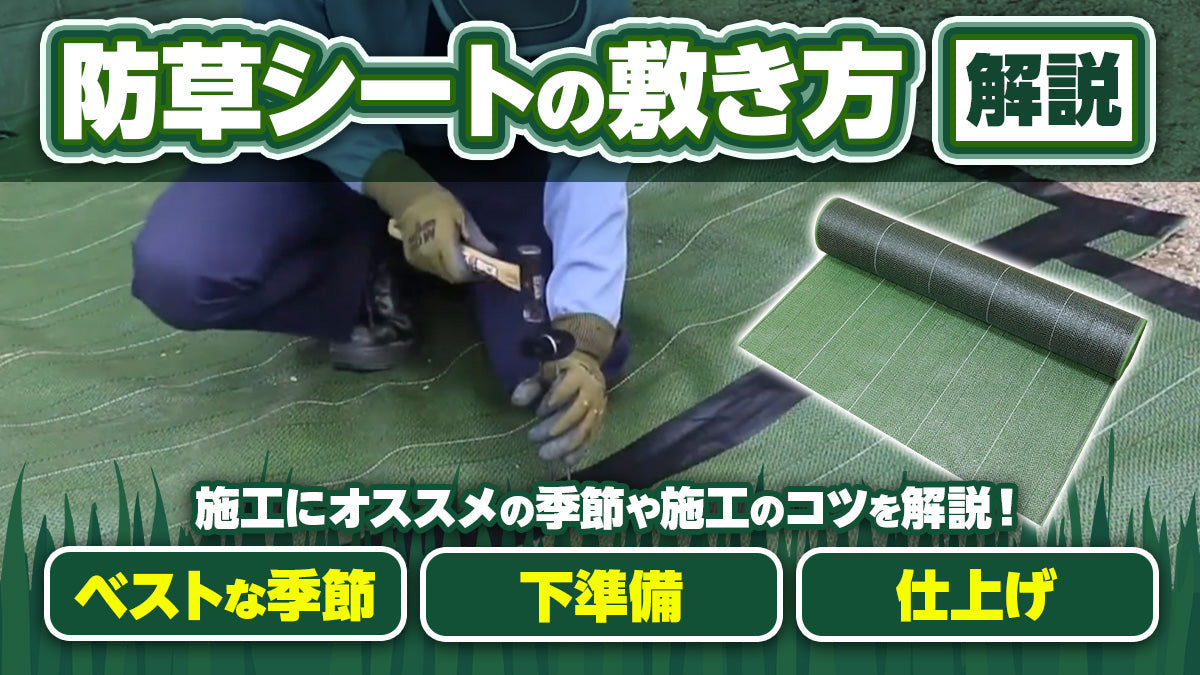 【雑草対策】防草シートの効果的な施工方法を解説