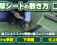 【雑草対策】防草シートの効果的な施工方法を解説