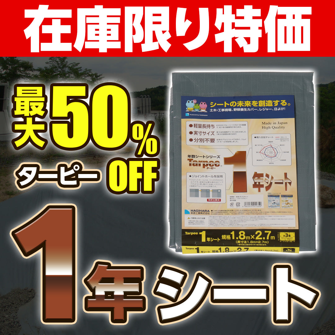 ターピー 1年シート