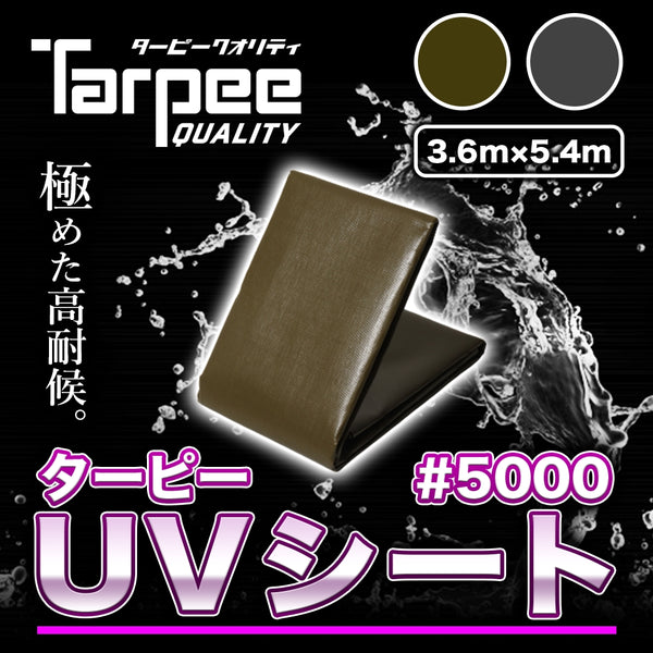 年中無休】 萩原工業 ターピーODシート#3000 3.6m5.4m 手動工具