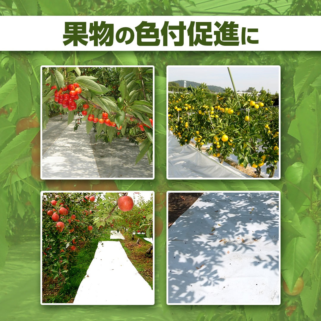 ターピー 果物用色付促進反射シート スノーテックス(有孔)