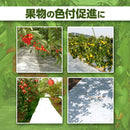 ターピー 果物用色付促進反射シート スノーテックス(有孔)