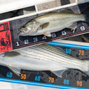 フィッシングメジャー [定型サイズ]【ターピー印刷シート】