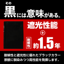 #2500 ブラックシート