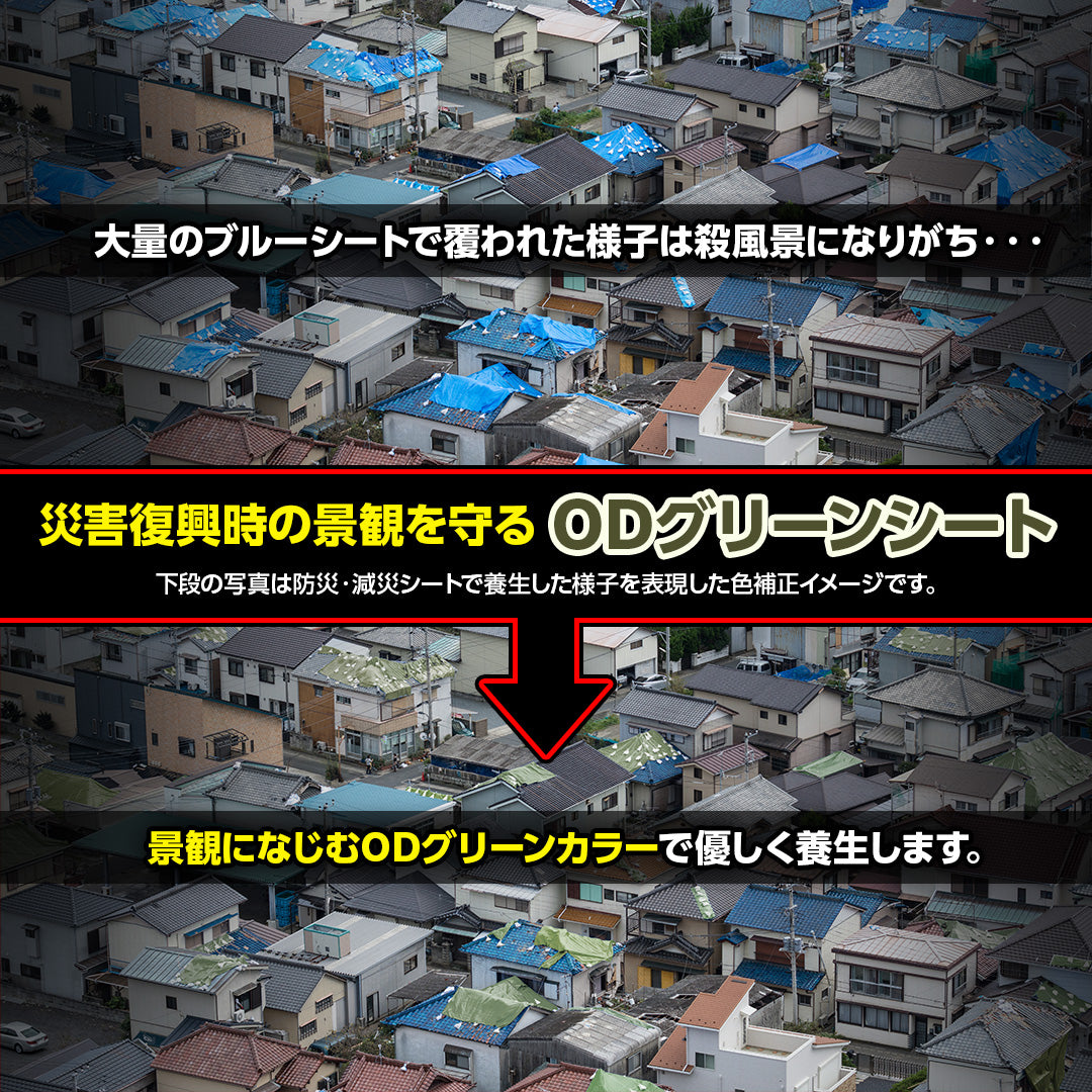 ターピー 防災・減災シート #3000　NETIS 登録NO.CG-230010-A