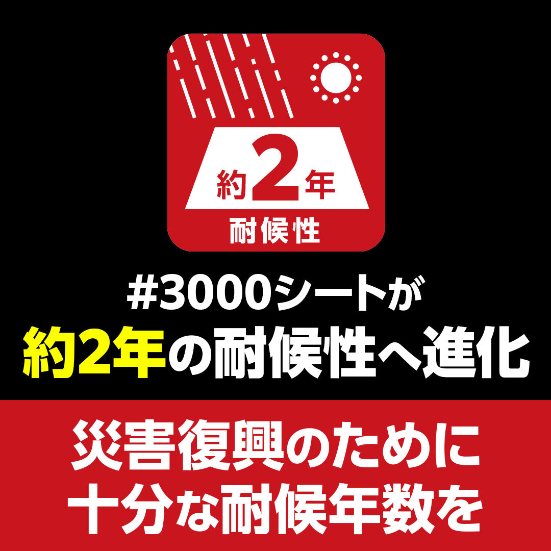 ターピー 防災・減災シート #3000　NETIS 登録NO.CG-230010-A