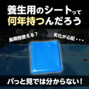 ターピー 5年シート