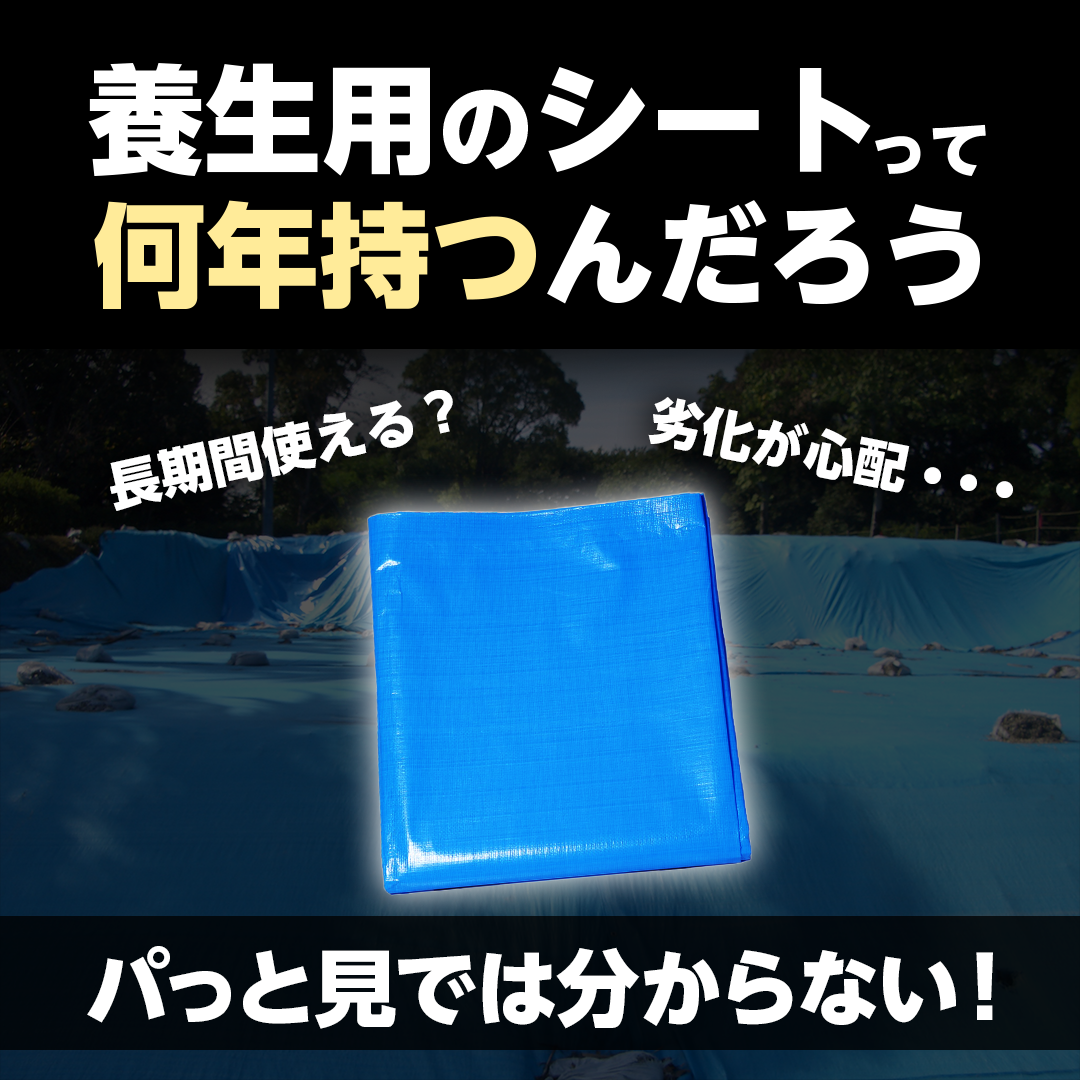 ターピー 3年シート