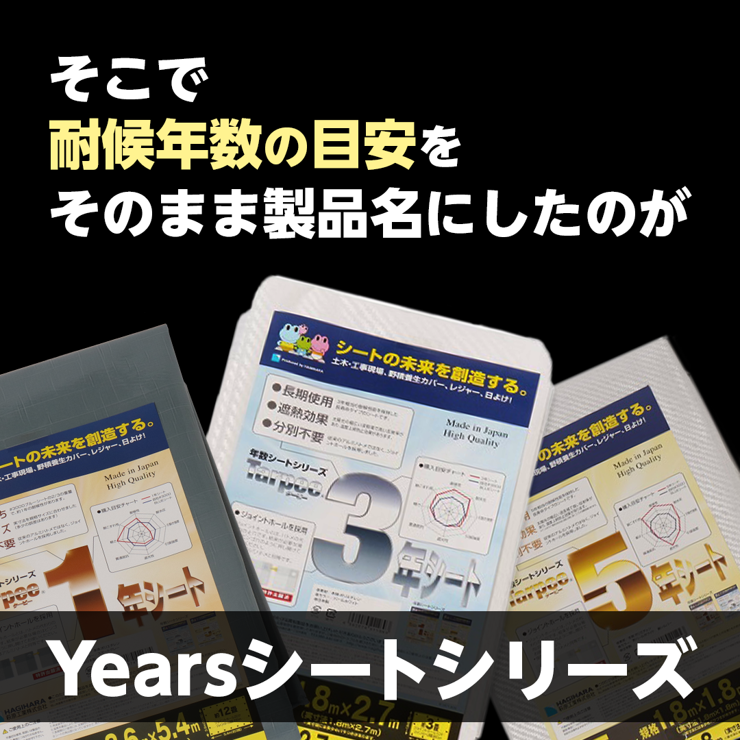 ターピー 5年シート
