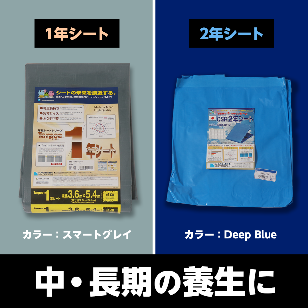 ターピー 3年シート