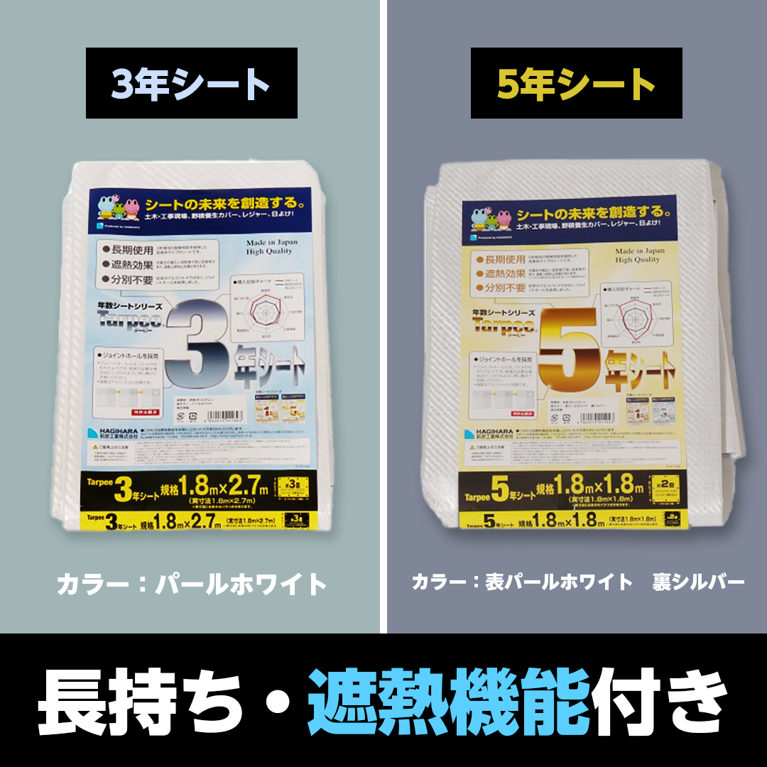 ターピー 5年シート