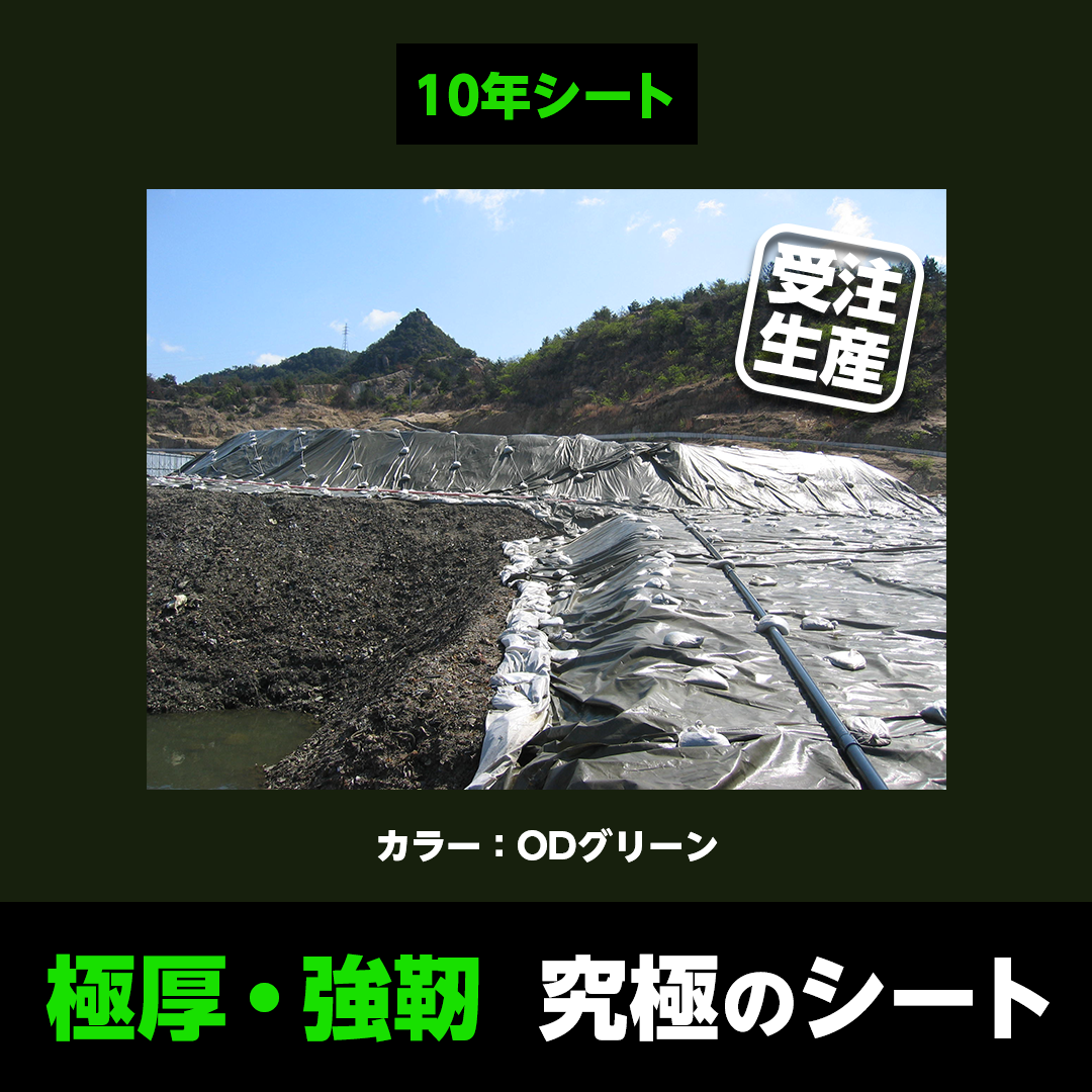 ターピー 10年シート