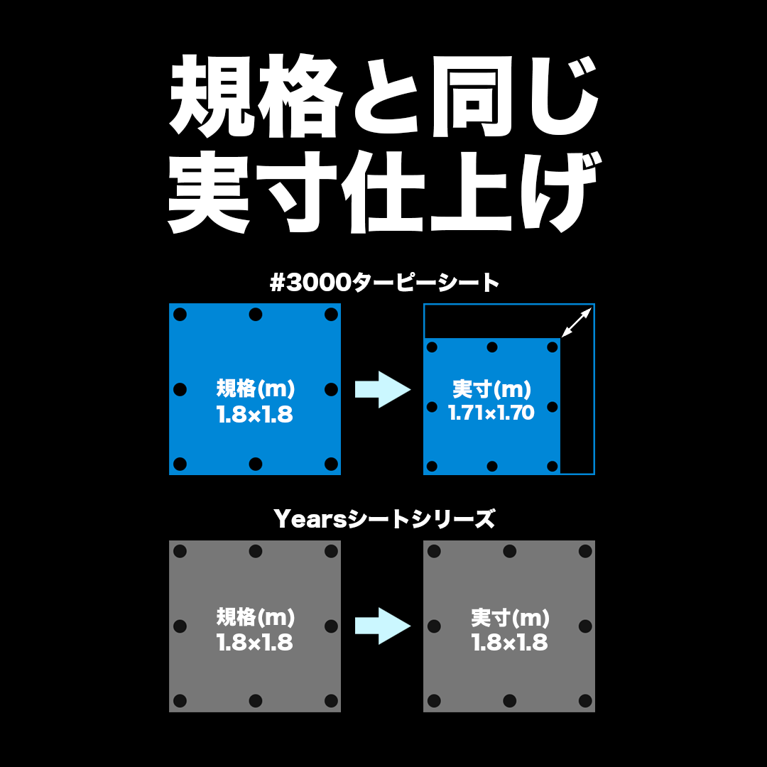 ターピー 10年シート