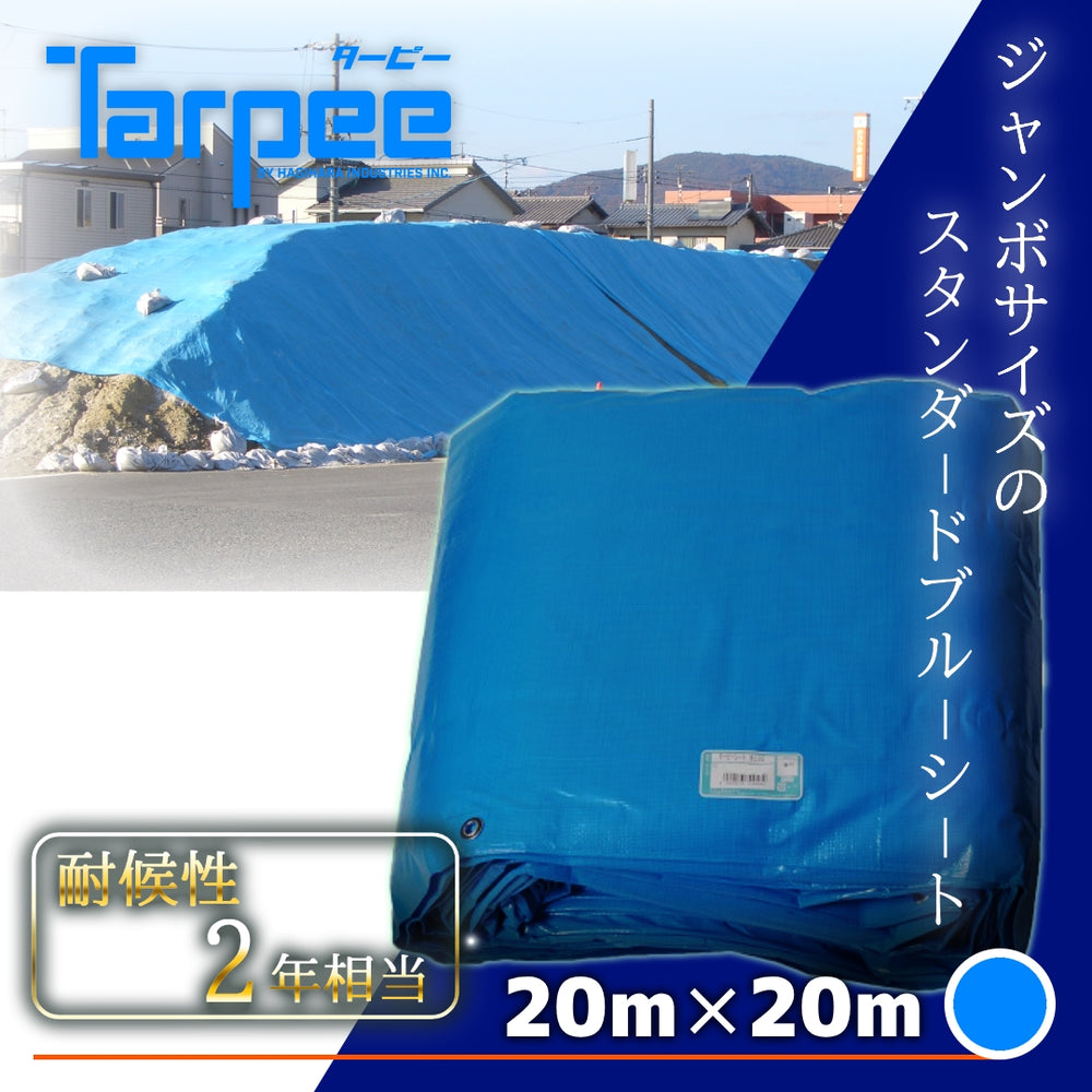 a-354_1000x.jpg?v=1746058863