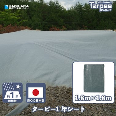ターピー 1年シート
