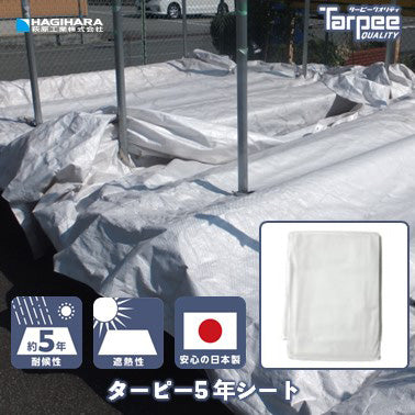 ターピー 5年シート