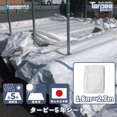 ターピー 5年シート