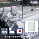 ターピー 5年シート