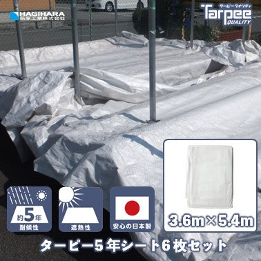 ターピー 5年シート