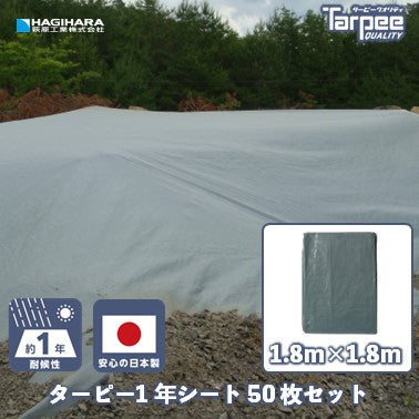 ターピー 1年シート