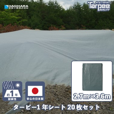 ターピー 1年シート
