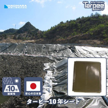 ターピー 10年シート
