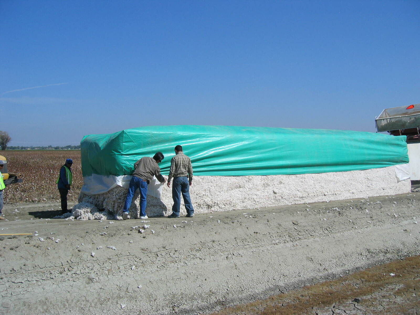 ターピーUV#4000クロスグリーン3.63m×100m巻き【法人様限定】【受注生産品納期確認】
