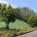 防草シート7年タイプ1.0mX50m巻グランドバリアクロス-7