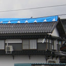 ブルーシートターピー