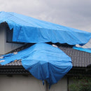 ブルーシートターピー