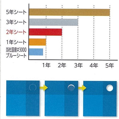 1年シート1.8m×1.8m
