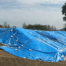 輸入ブルーシート