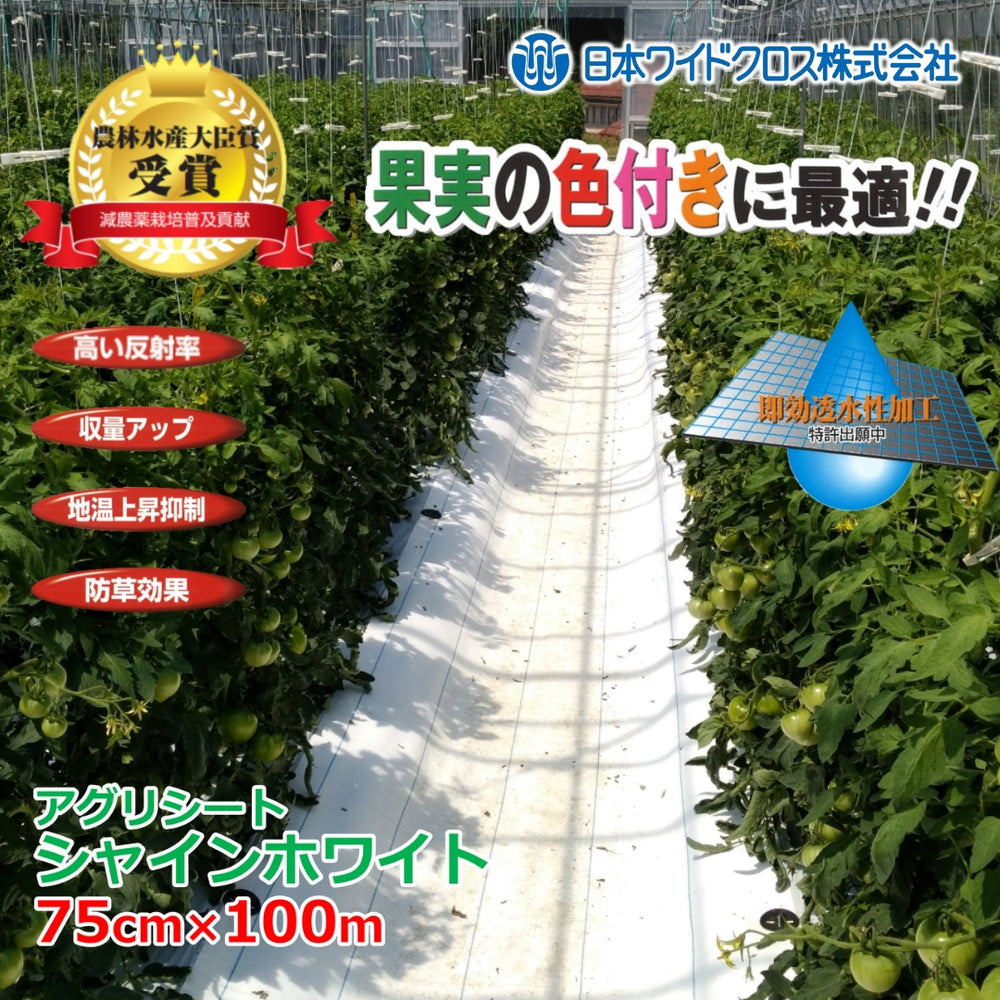 jwc-sw02_1000x.jpg?v=1746058901