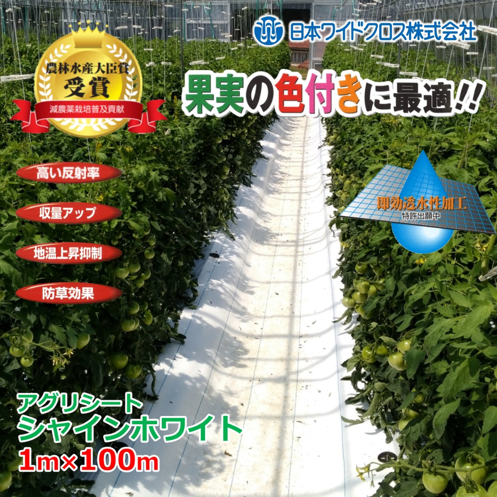 jwc-sw03_1000x.jpg?v=1746058901